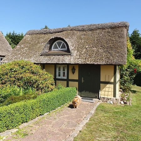 Zara'S B&B Horsens Exteriér fotografie