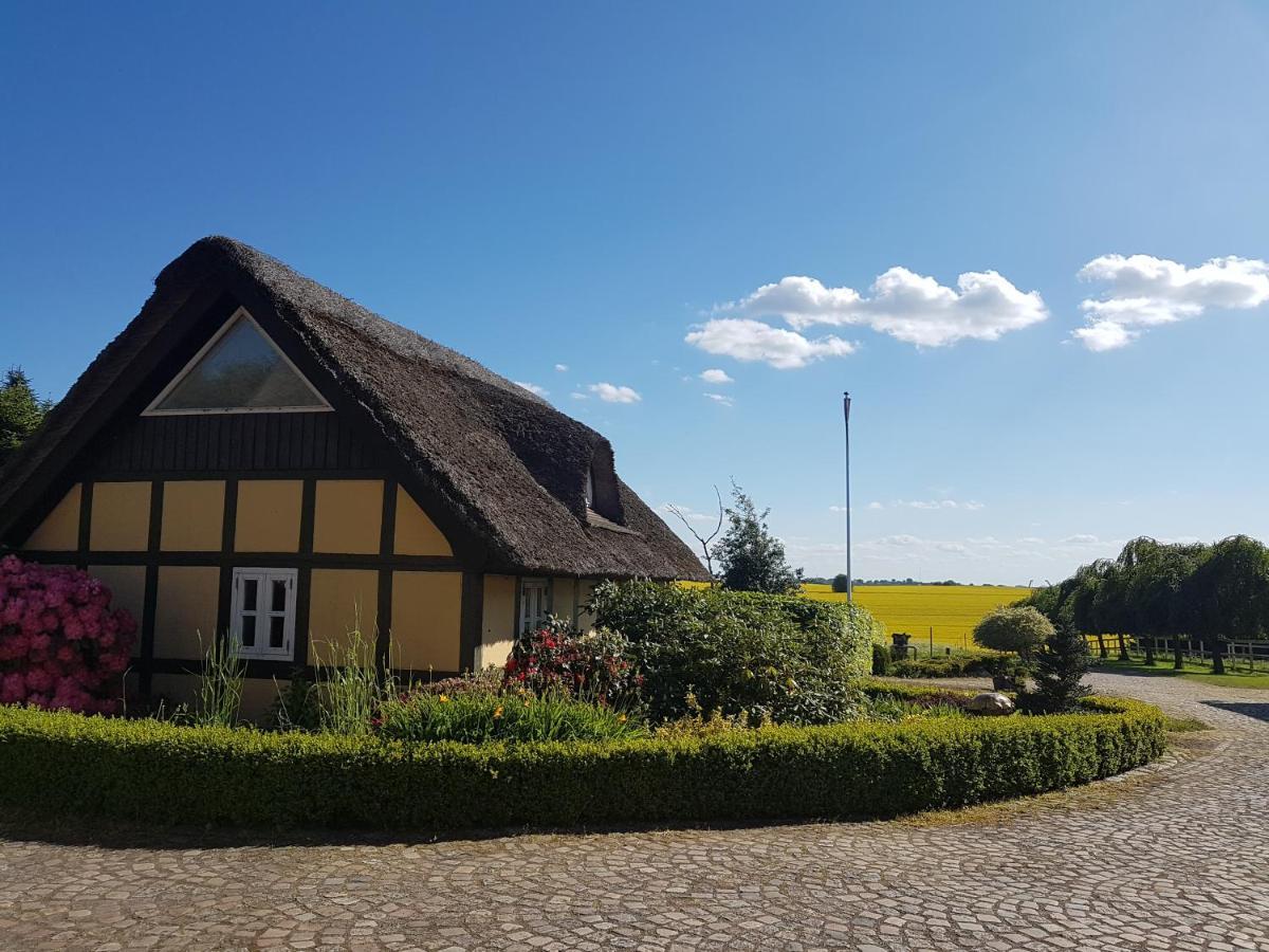 Zara'S B&B Horsens Exteriér fotografie