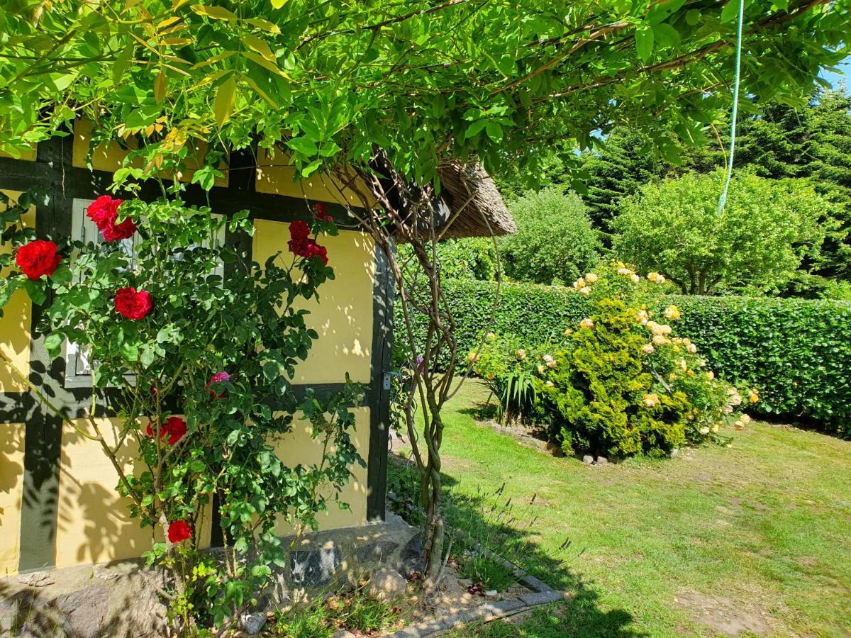Zara'S B&B Horsens Exteriér fotografie